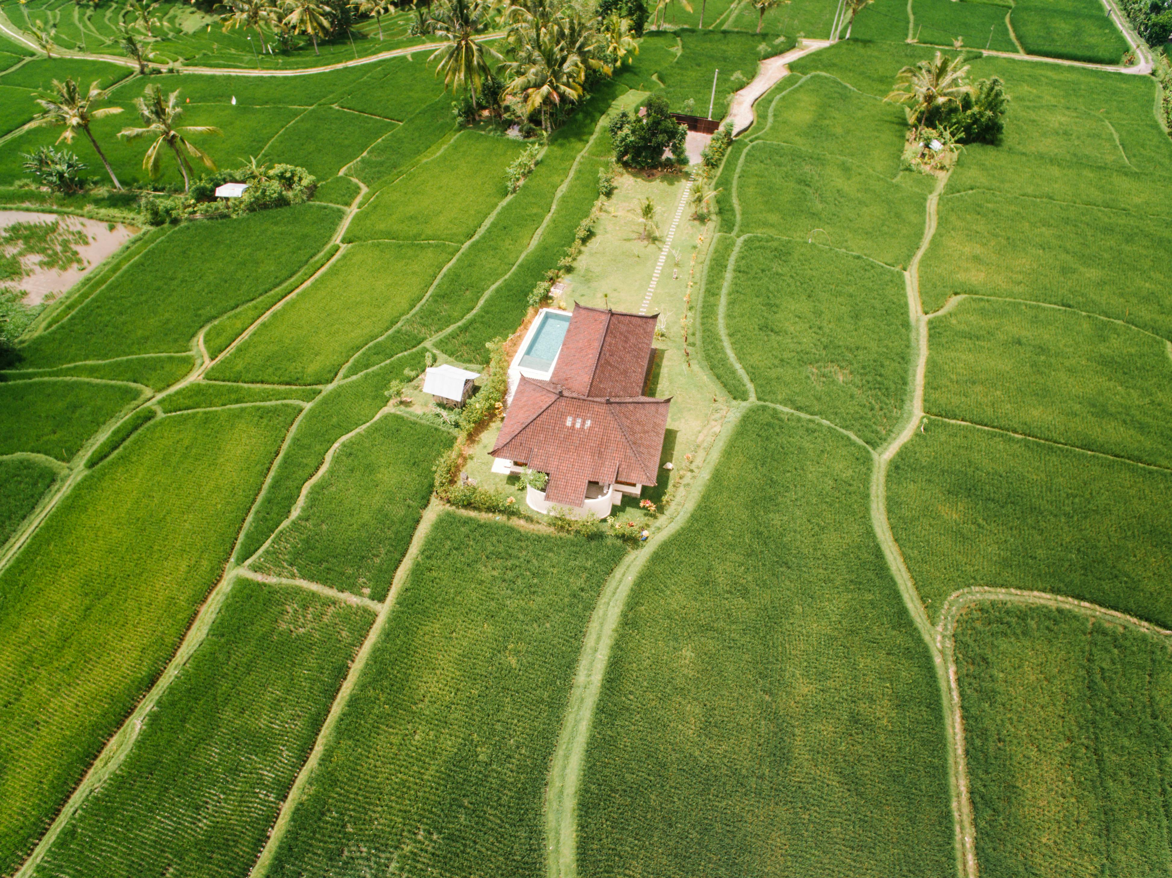 Land